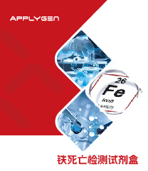 鐵死亡檢測(cè)試劑盒
